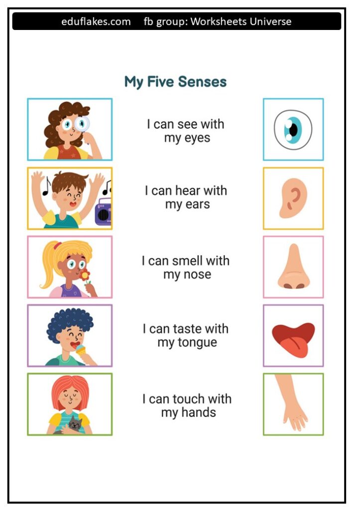 Kindergarten My body parts worksheets - eduflakes