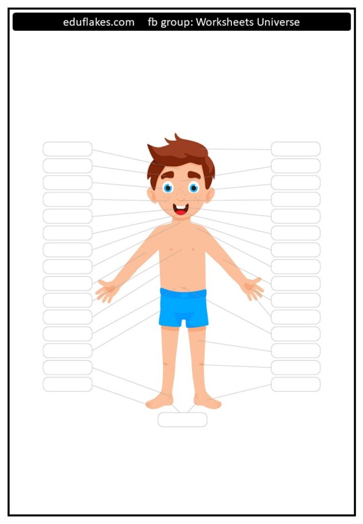 Kindergarten My Body Parts Worksheets - Eduflakes