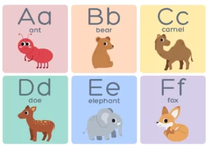 Alphabet flashcards