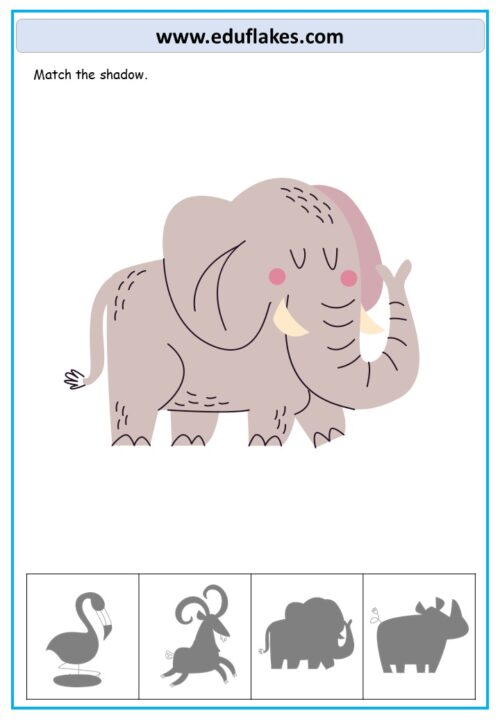 Kindergarten Shadow Matching Activity Workbook - Eduflakes
