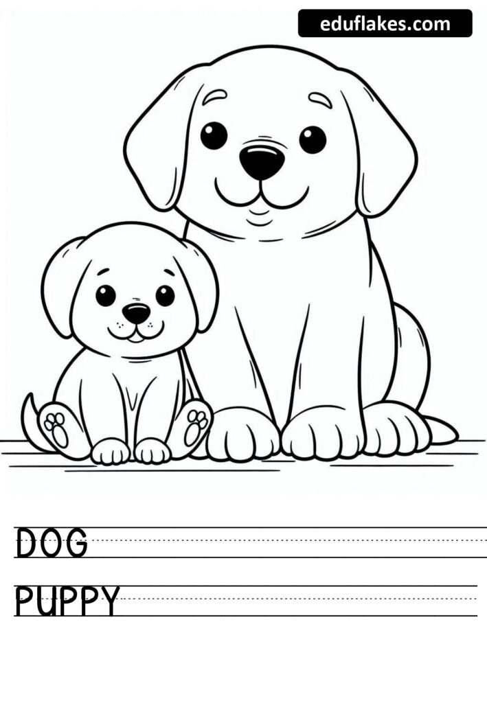 20 Animals And Its Young Ones Eduflakes