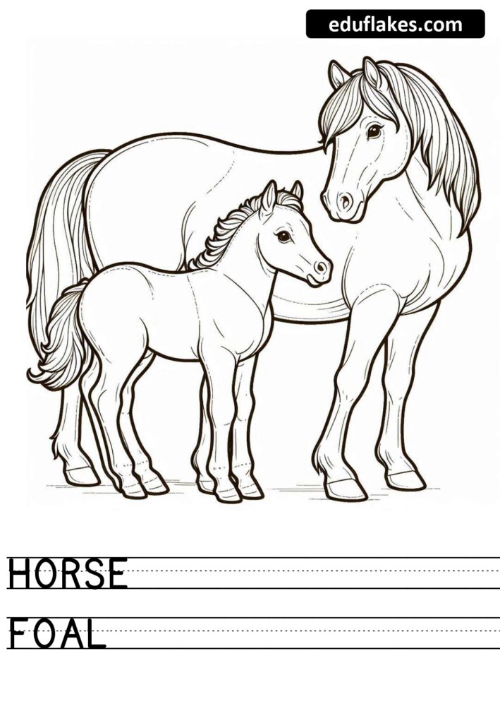 20 Animals And Its Young Ones Eduflakes