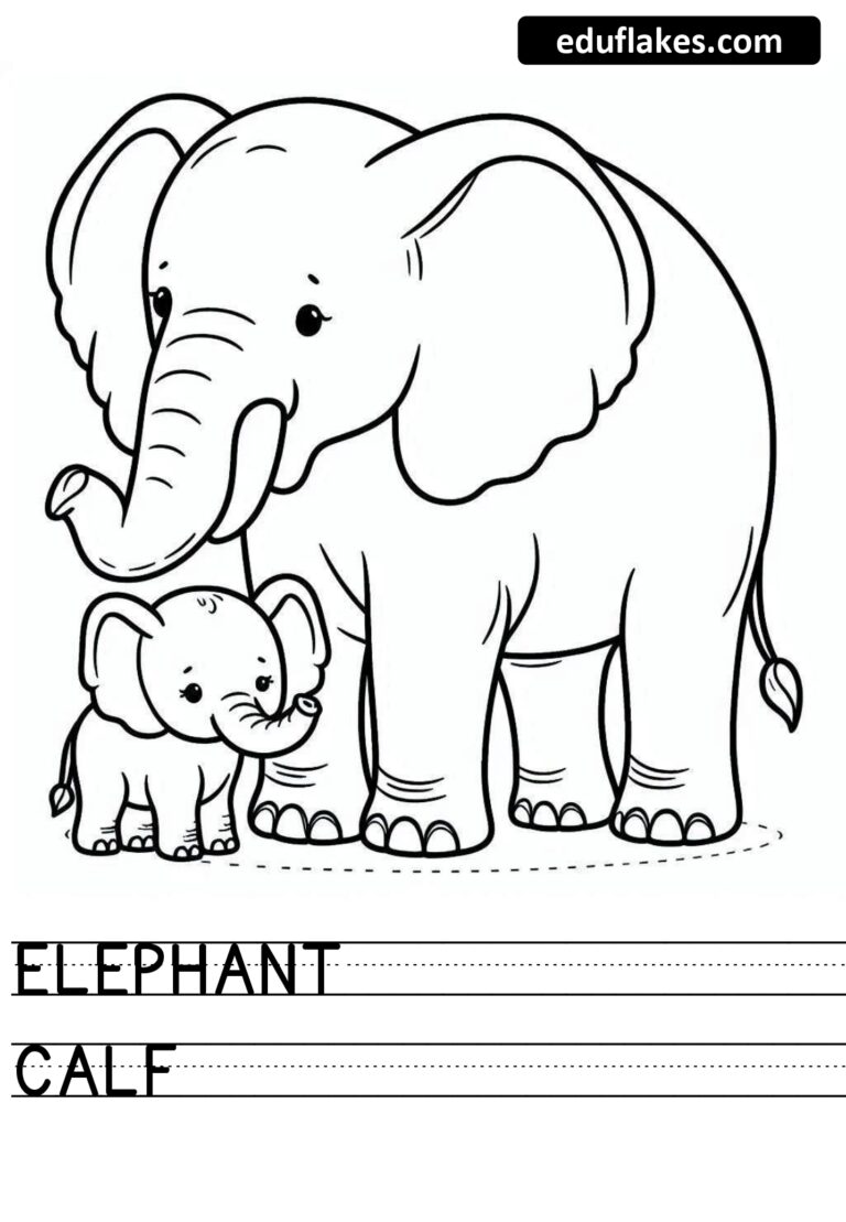 20 Animals And Its Young Ones - Eduflakes