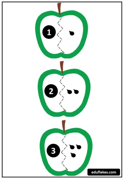 FALL Apple Seeds Counting page 0002