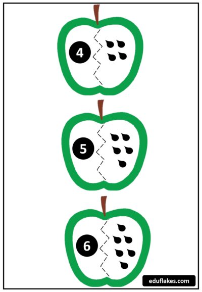 FALL Apple Seeds Counting page 0003