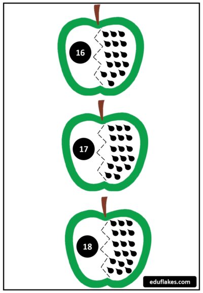 FALL Apple Seeds Counting page 0007