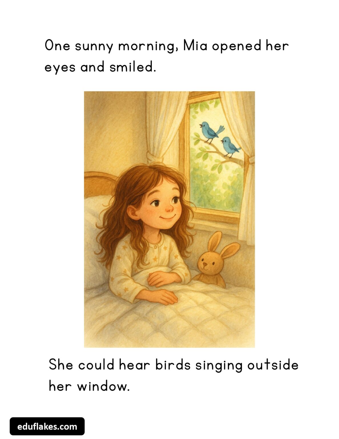 Decodable Fluency Passages Eduflakes